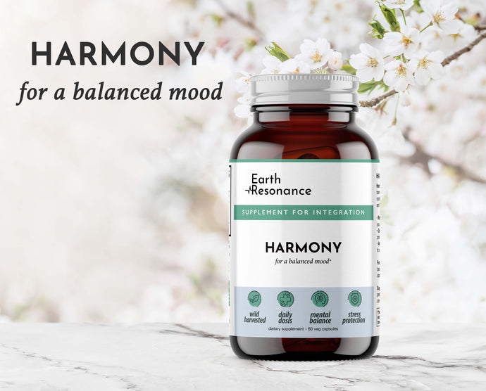 Harmony: 5 Benefits for Emotional Wellness